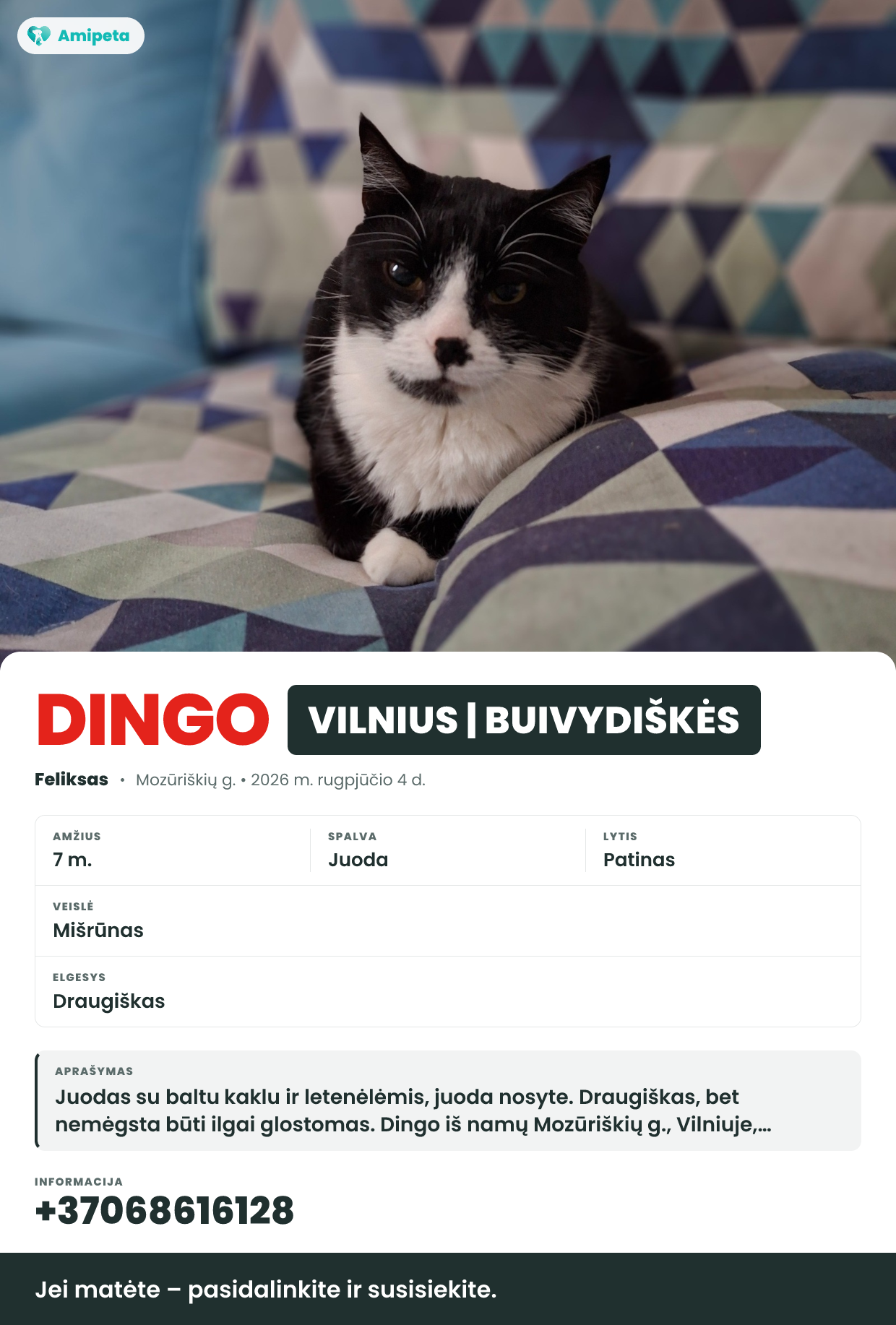 Dingęs augintinis: Feliksas – Vilnius | Buivydiškės