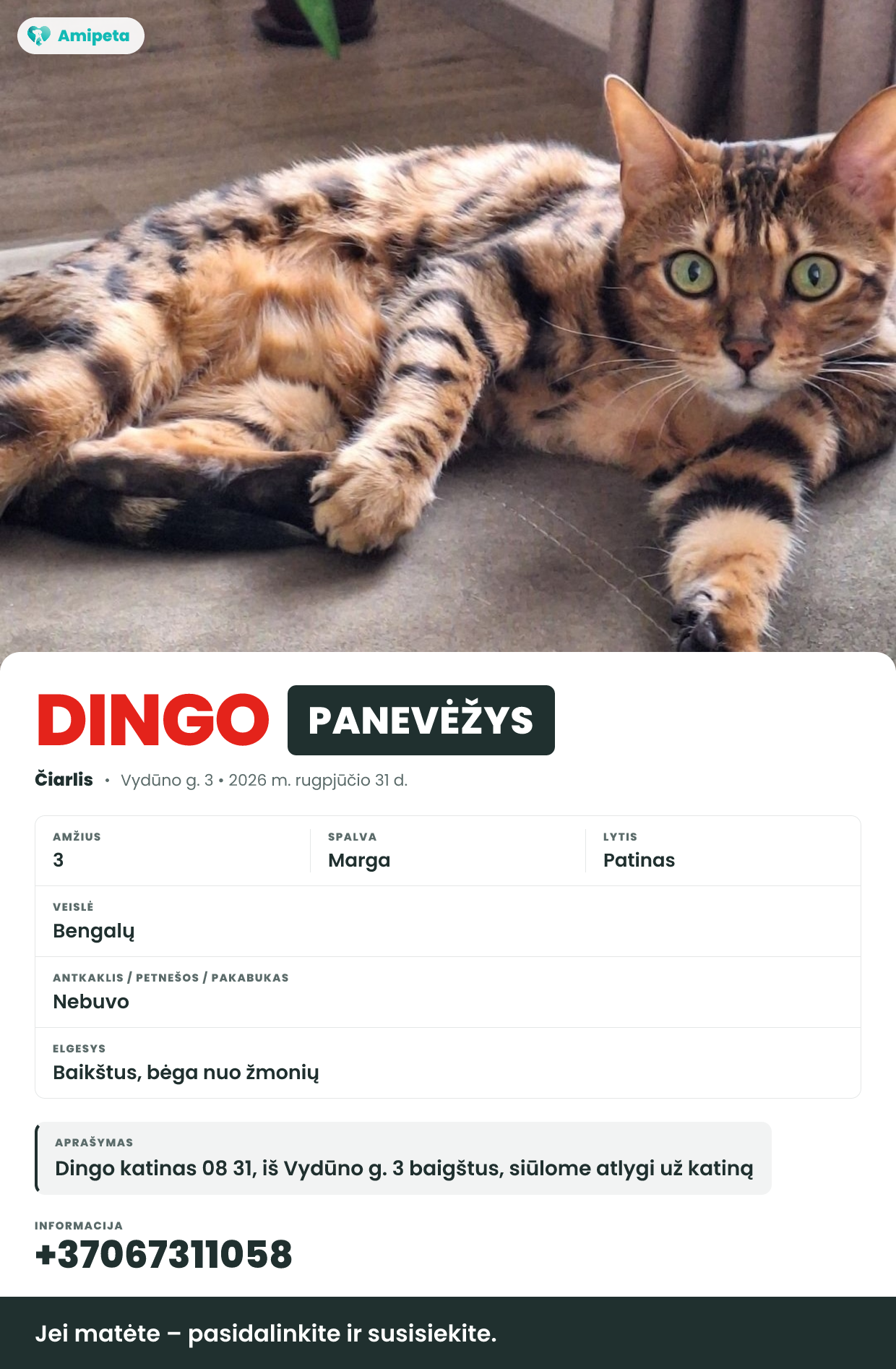 Dingęs augintinis: Čiarlis – Panevėžys