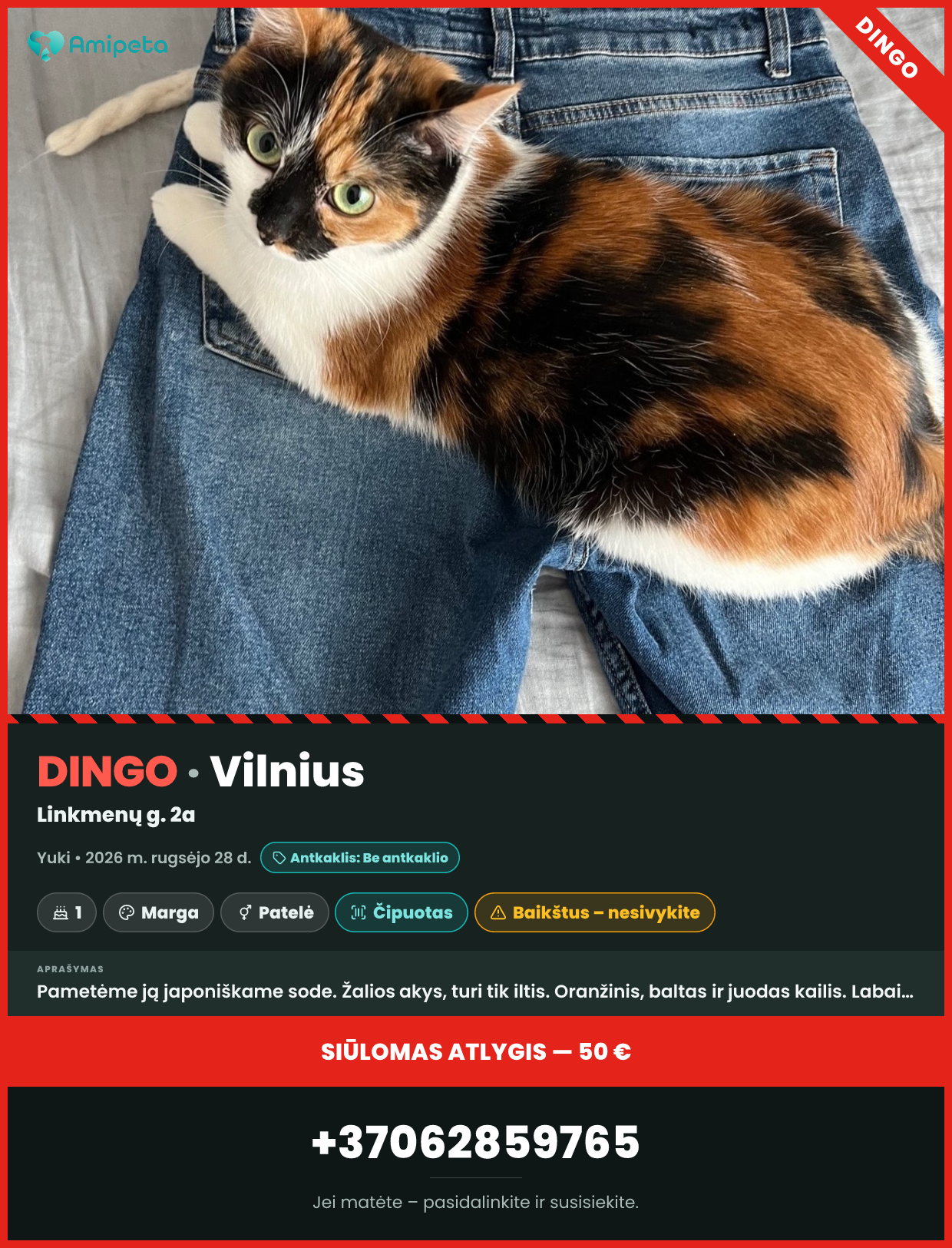 Dingęs augintinis: Yuki – Vilnius