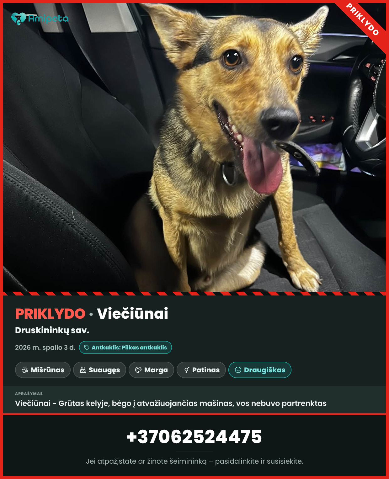 Priklydęs šuo – Viečiūnai
