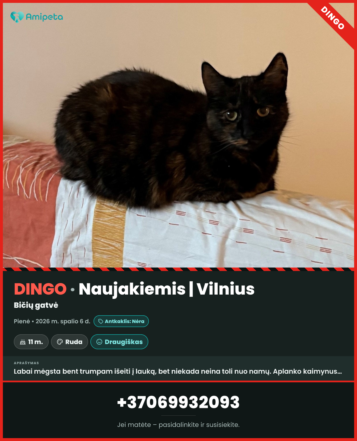 Dingusi katė „Pienė“ – Naujakiemis, Vilnius