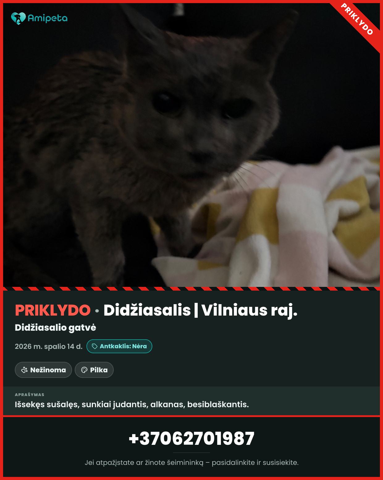 Priklydusi katė – Didžiasalis, Vilniaus raj.