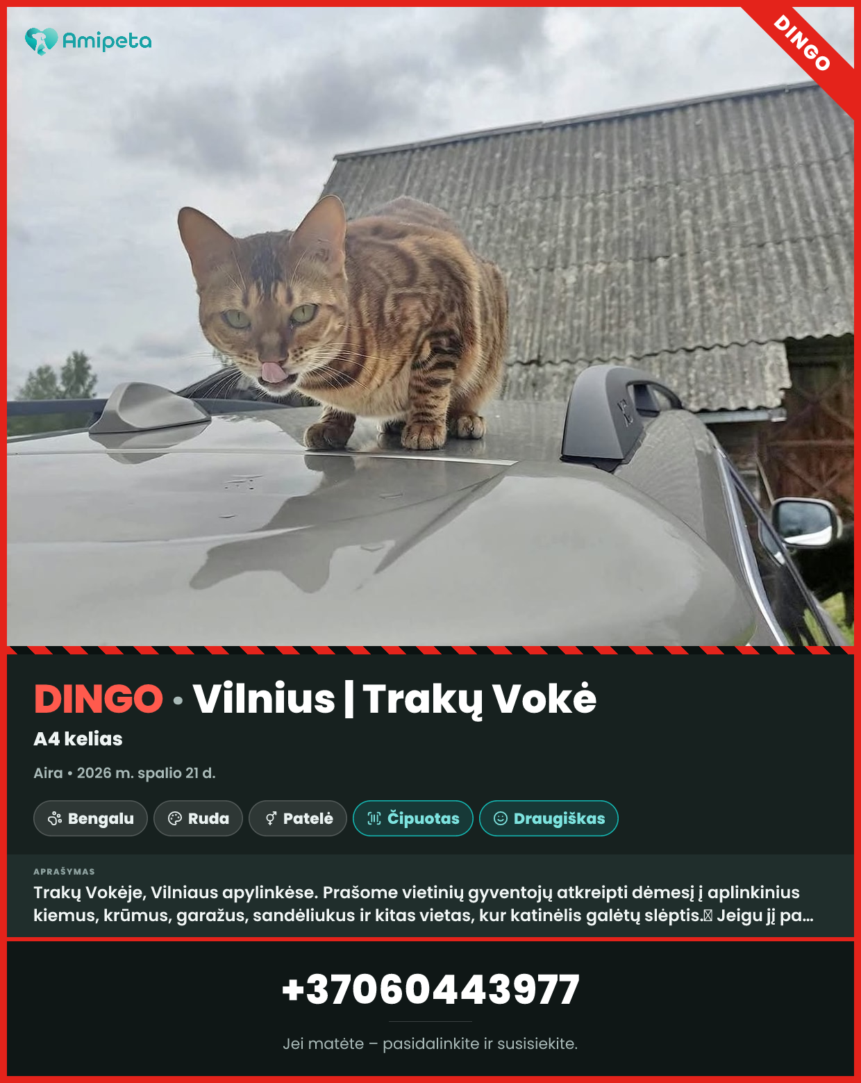 Dingusi katė „Aira“ – Vilnius, Trakų Vokė