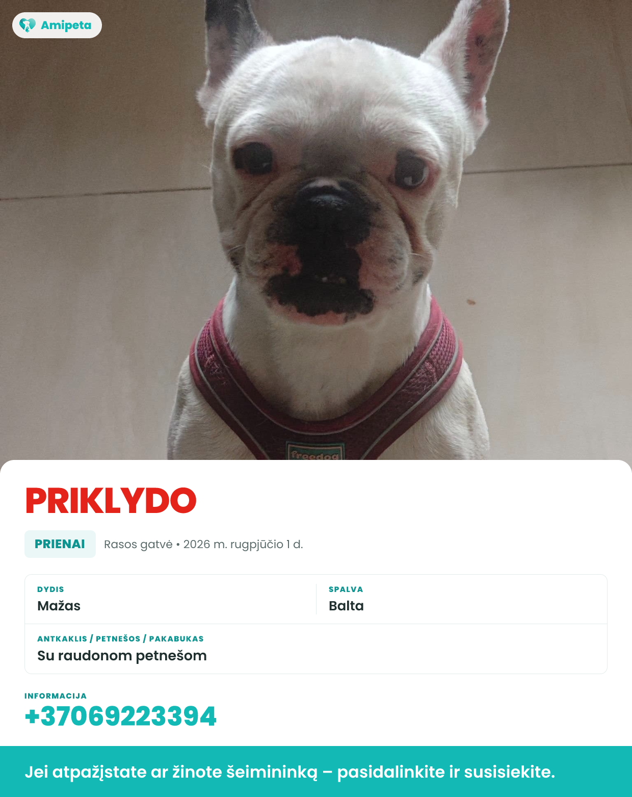 Priklydęs augintinis – Prienai