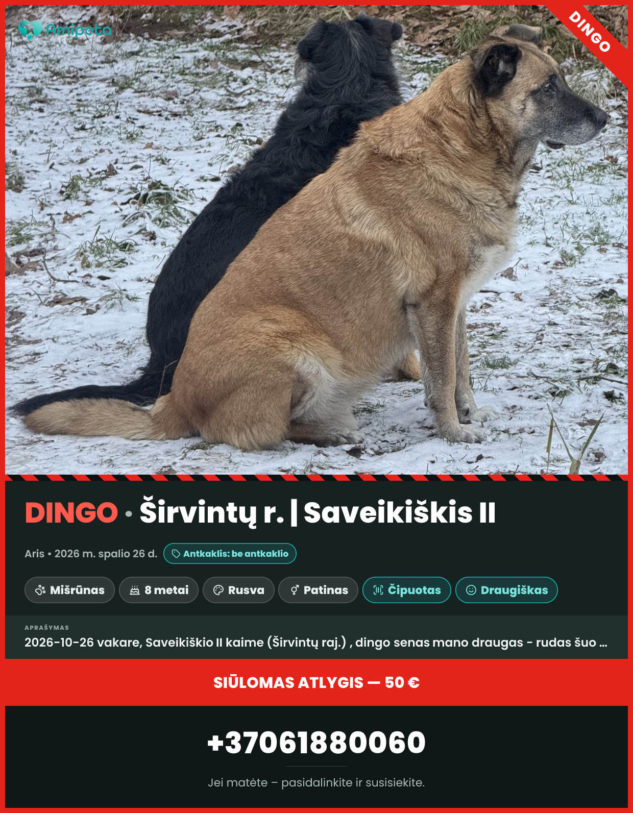 Dingęs šuo „Aris“ – Širvintų r., Saveikiškis II