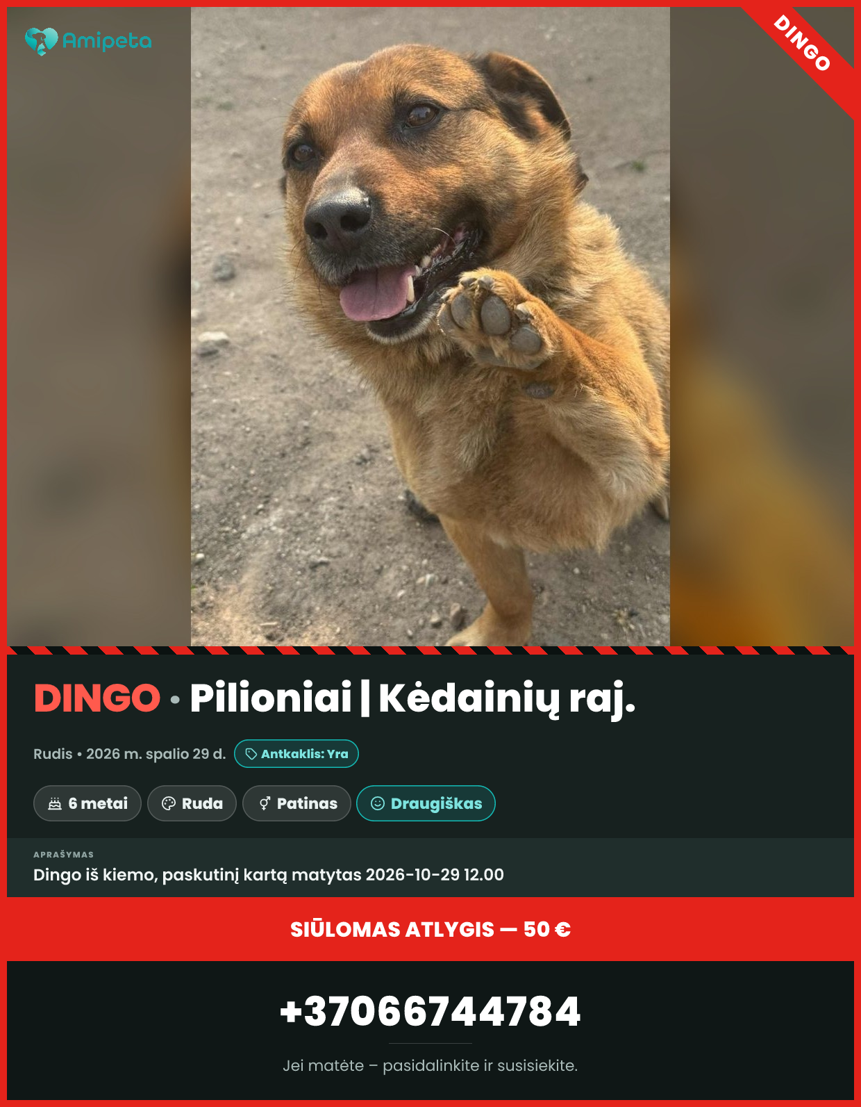 Dingęs šuo „Rudis“ – Pilioniai, Kėdainių raj.