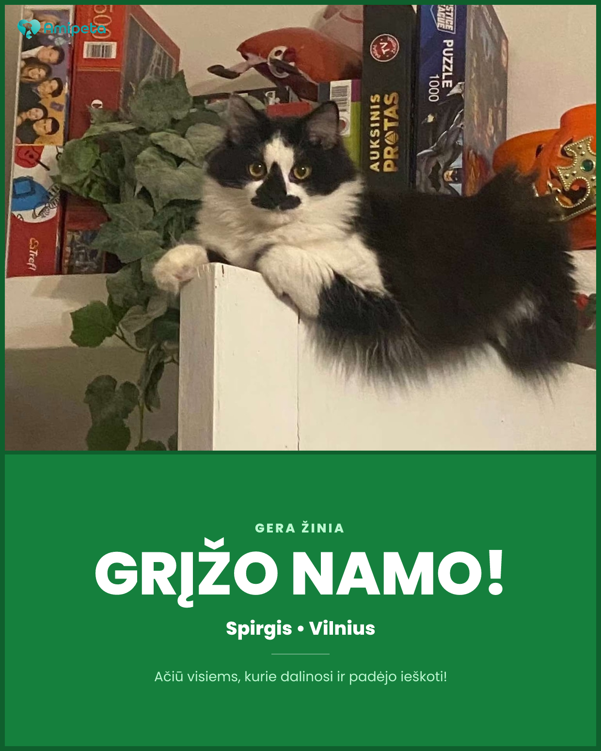 Dingęs gyvūnas „Spirgis“ – Vilnius