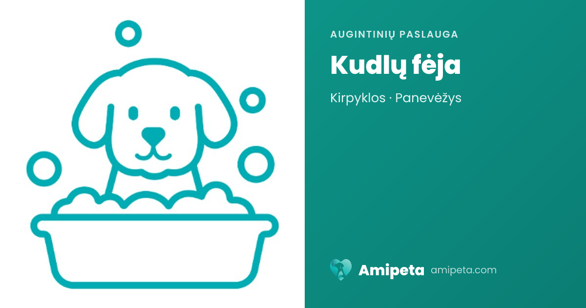 Kudlų fėja