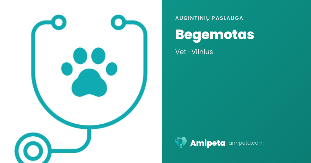 Begemotas