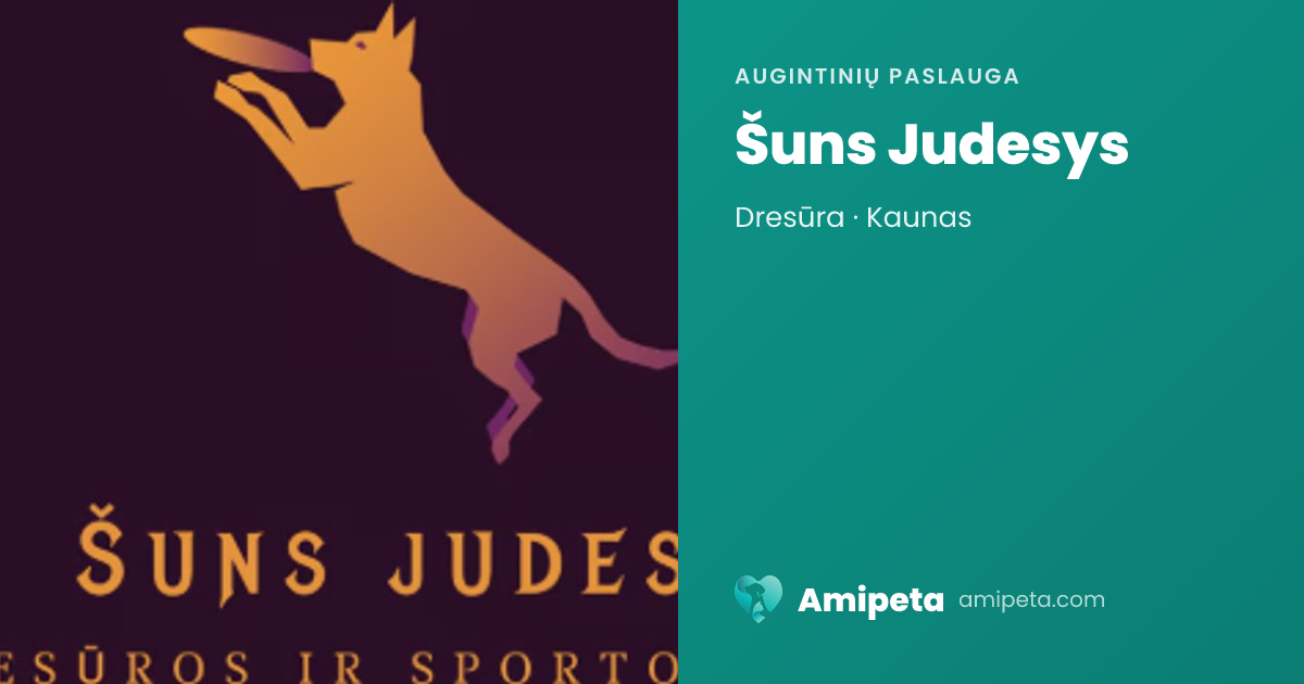 Šuns Judesys