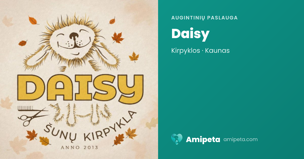 Daisy