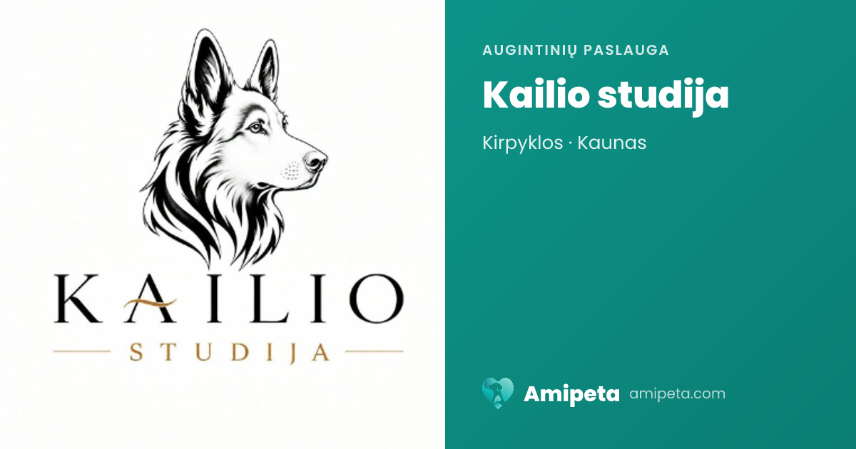 Kailio studija