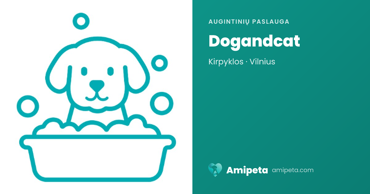 Dogandcat